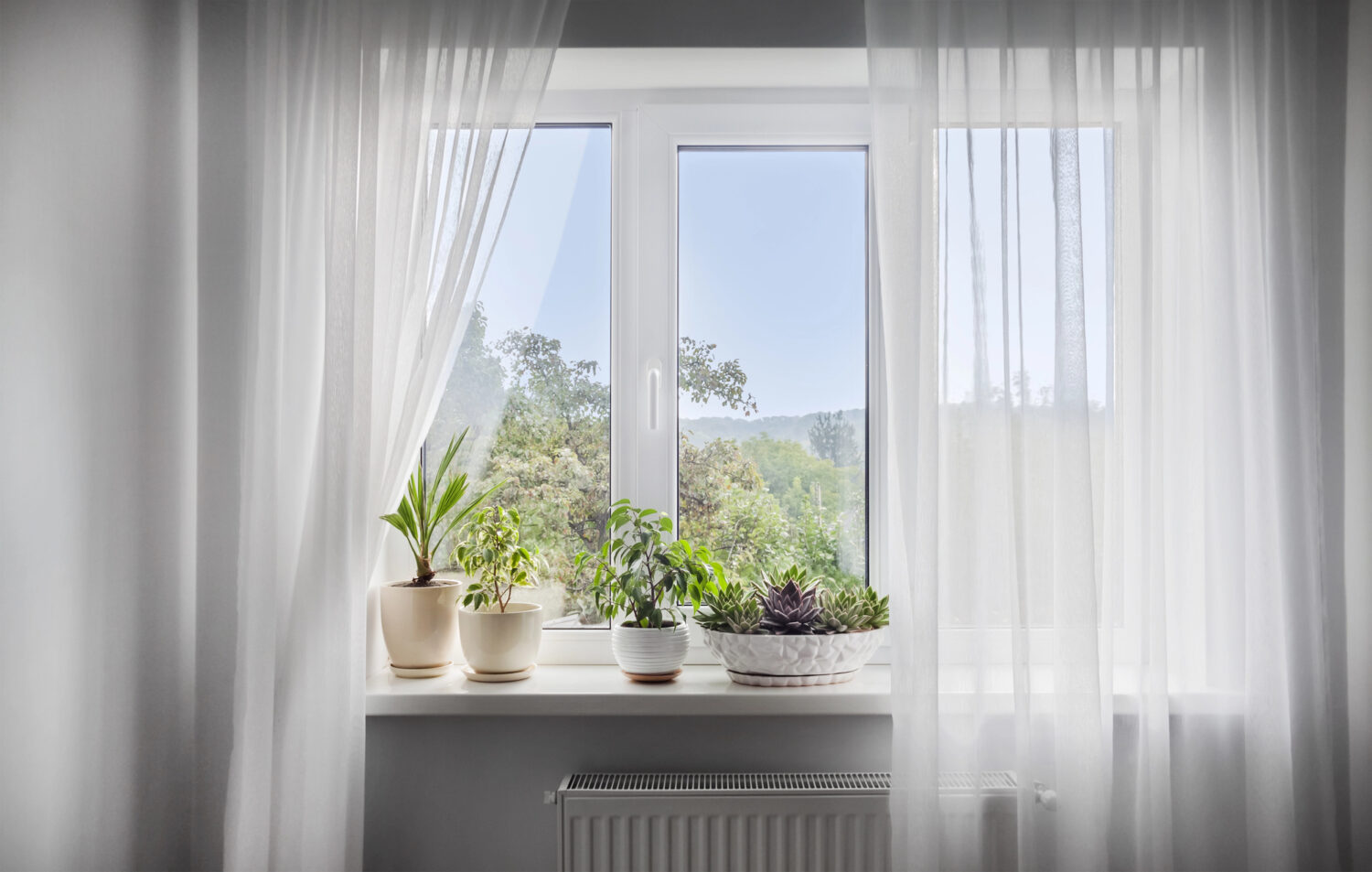 A white-framed window with sheer curtains lets in natural light, creating peaceful home decor. On the sill are four potted plants in various green shades. Outside, trees and a clear sky are visible; a radiator sits beneath the sill.